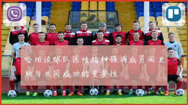 哈珀谈球队团结精神强调成员间互助与共同成功的重要性