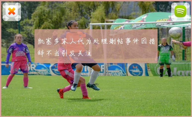 凯塞多家人代为处理删帖事件因措辞不当引发关注
