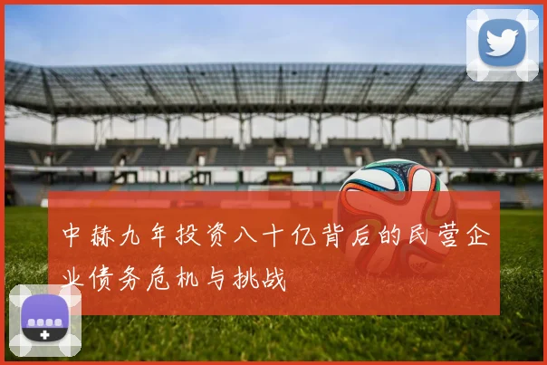 中赫九年投资八十亿背后的民营企业债务危机与挑战