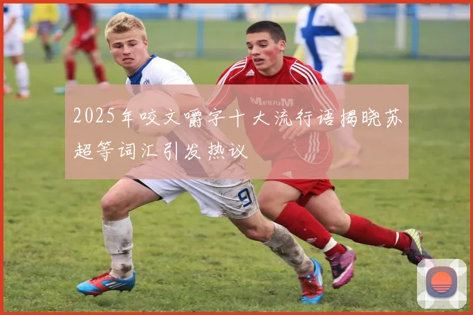 2025年咬文嚼字十大流行语揭晓苏超等词汇引发热议