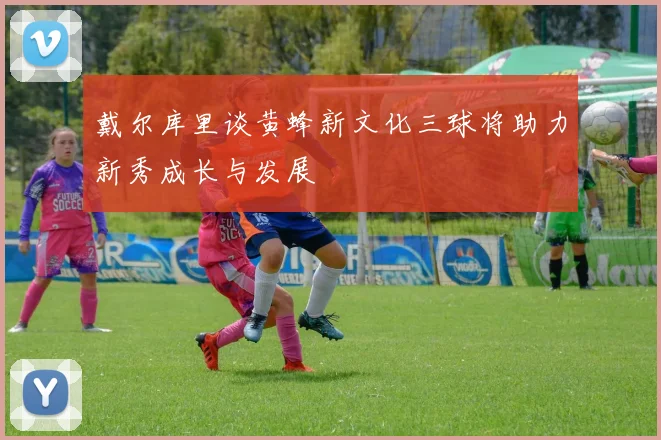 戴尔库里谈黄蜂新文化三球将助力新秀成长与发展