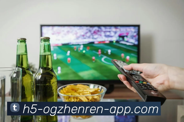 OG真人平台生态图