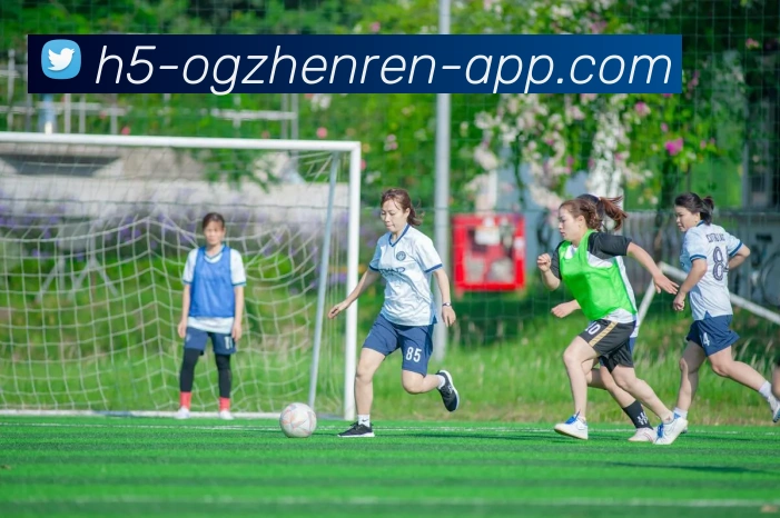 OG真人APP 封面图